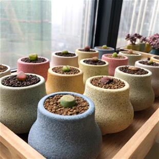 极速特小号迷你拇k指盆多肉控型盆粗陶手绘素烧陶瓷花盆简约麦饭