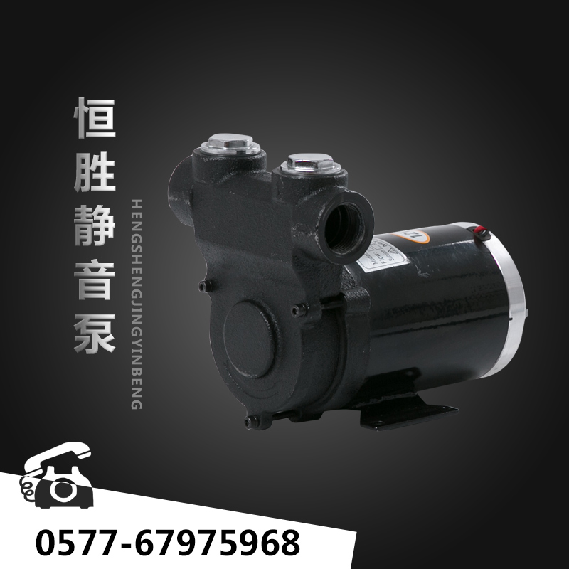 极速静音加油泵交流直流泵自吸泵12v2E4v220V柴油全自动抽油泵柴