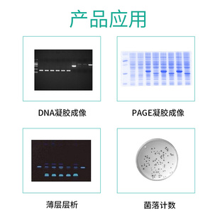 100型 上海叶拓 保障 厂家直发 正品 自动凝胶成像分析系统