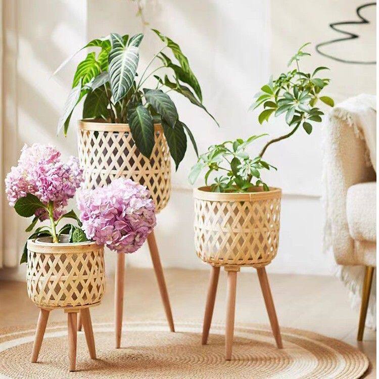 【百搭神器】竹编花架木质原木风客厅落地绿植家用阳台实木花架