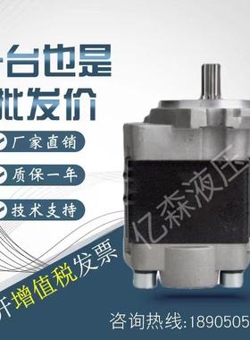 岛津SHIMADZU齿轮泵SGP1-16/18/20/23/25/30/32/35F1H1-RXXX油泵