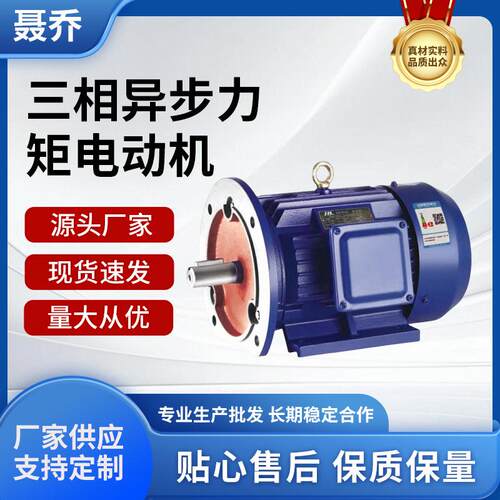 380V三相异步力矩电动机B35立卧式电机0.75/1.5/2.2/4/5.5/7.5KW