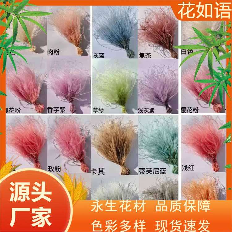 大把小花束配材柔丝浪漫草l草干花花材羽毛草