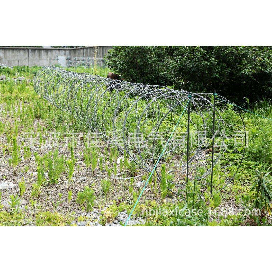 蛇腹型模拟铁丝网