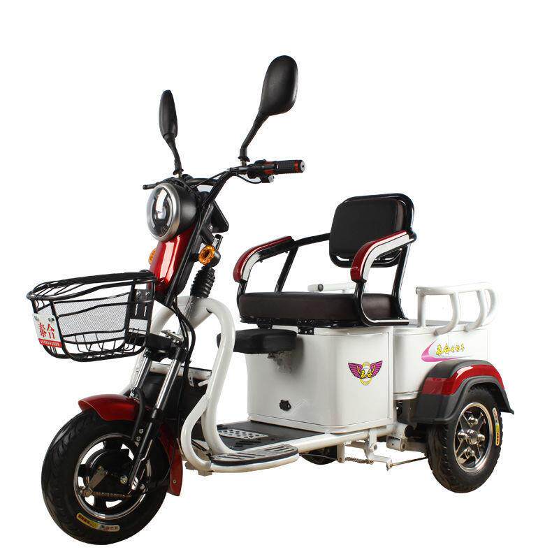 双人电动三轮车家用新款小型接送孩子老人老年拉货载重王电瓶三轮