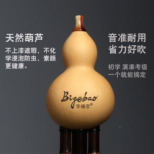 D99葫芦宝奏丝C调B格习AGF降小调学生成初练人AYB考学级演 毕经典