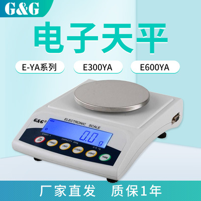 常熟双杰  E300YA  E/EY系列电子分析天平