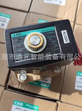 APK11-25A-02C-AC110V/