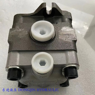 14G5 11G5 9AG5 6G3 PVD系列齿轮泵 Nachi