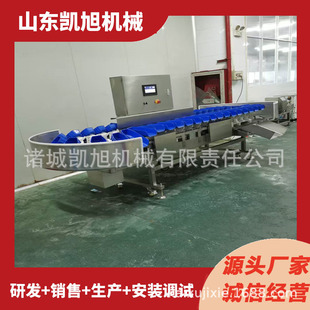 厂家供应北极贝自动称重分选机松茸多规格分级机 精度高速度快