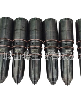 柴油发动机配件LTA10喷油器总成3084398 3028066