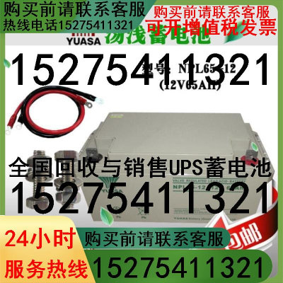 汤浅蓄电池NPL65-12铅酸免维护12V65AH 通讯机房太阳能UPS直流屏