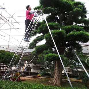 家装 道路两旁高树修剪农艺梯 维修防滑踏步式 铝合金梯 四爪加固梯