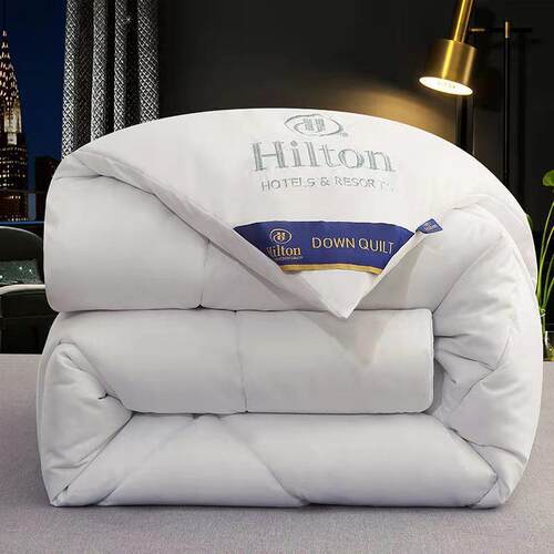 Hotel quilt Hilton duvet autumn winter warm 羽丝绒被芯冬被子