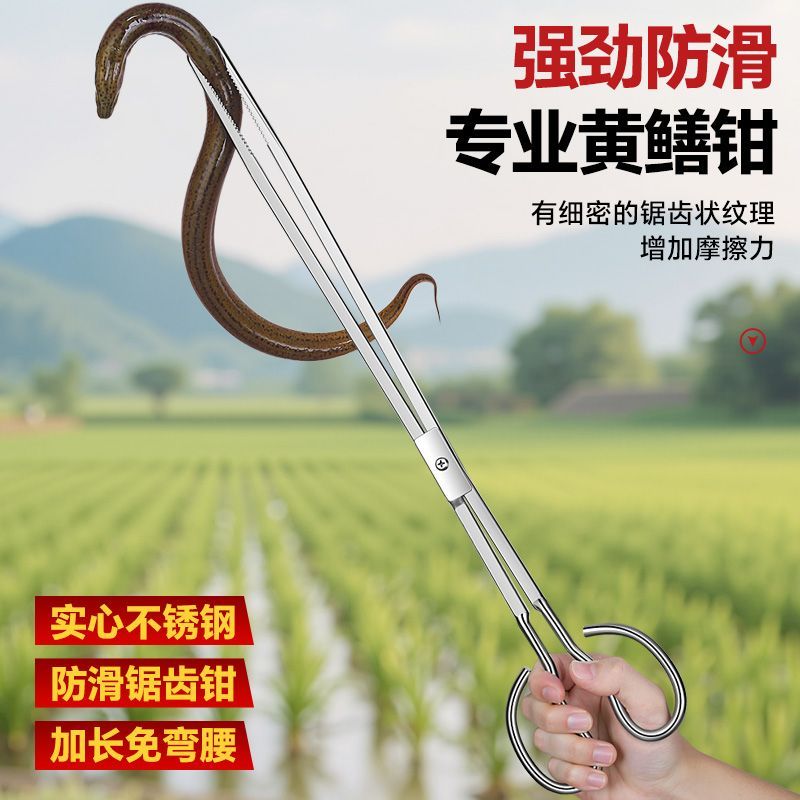 泥鳅黄鳝夹鳝鱼夹不锈钢钳子防滑赶海神器抓螃蟹龙虾工具火钳垃圾