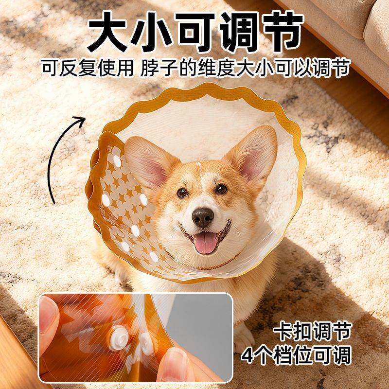 中小型成猫幼猫通用可调节伊丽莎白圈猫狗驱虫防抓舔咬防护头套