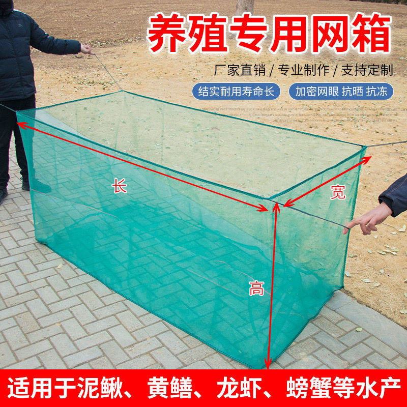 带盖子箱网养鱼存鱼养殖网箱育苗箱网泥鳅鳝鱼龙虾防逃箱网定做包
