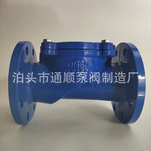 供应橡胶瓣止回阀 铸铁单向橡胶板旋启示止回阀 h44x橡胶瓣止回阀