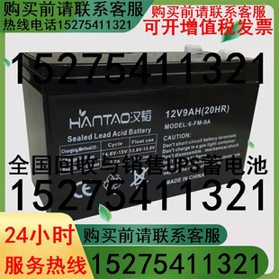 汉韬12V9AH蓄电池雪王气模K老爷人偶风机用电瓶照明配件含充电器