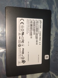 Pro 现货100个 7300 镁光 U.2 micron