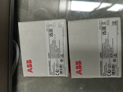 ABB原装AX521，1SAP250100R0001
