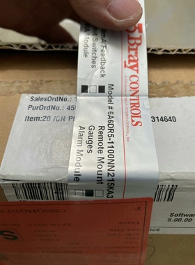 6DR5110-0NN00-5KA0 美国博雷Bray阀门定