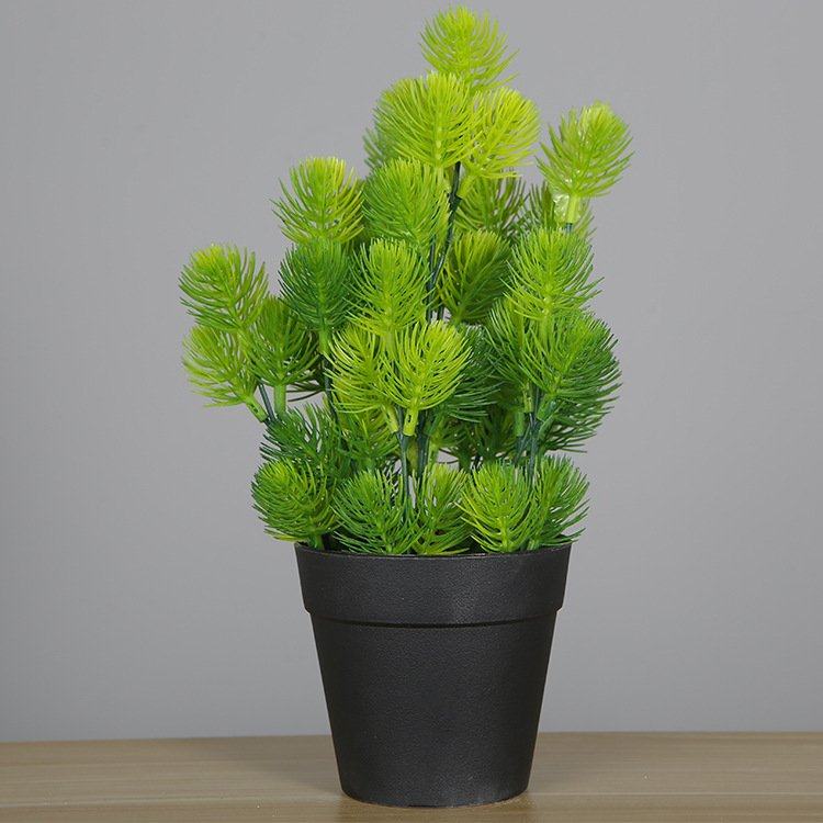 一件代发多肉植物30cm大松针室内居装饰盆景 人造假多肉仿真绿植,家居饰品,仿真植物盆景,淘宝优惠券,粉丝福利购,淘宝优惠卷
