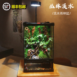 苔藓微景观雨林生态缸水陆缸玻璃生态闷养桌面创意盆景绿植可养鱼