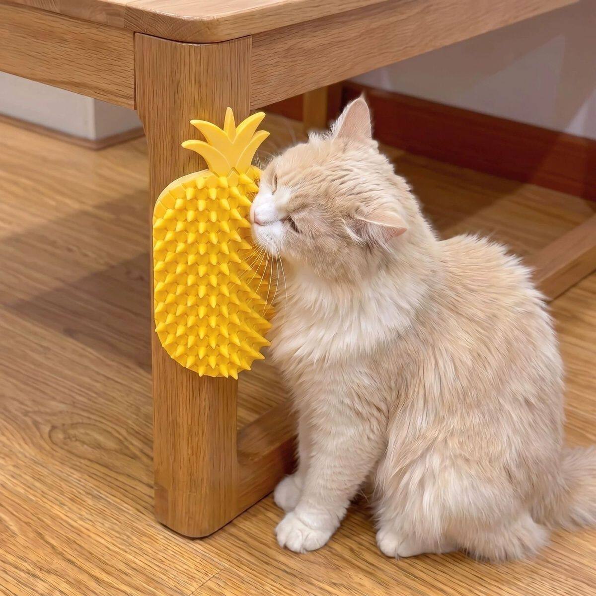 墙角桌脚猫咪菠萝蹭痒神器抓板玩具宠物解闷抓痒挠痒按摩梳用品