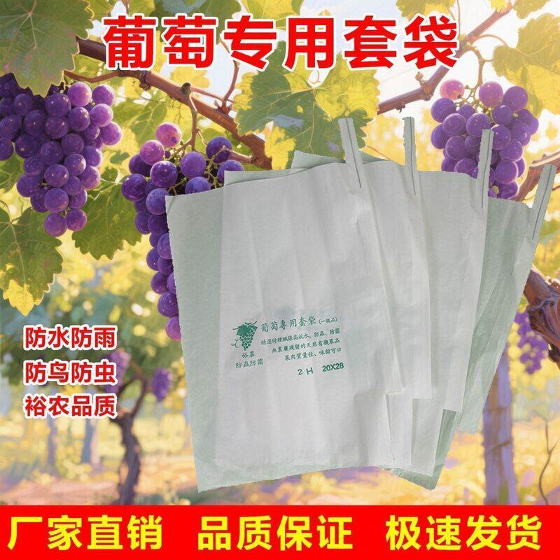 芒果枇杷莲雾葡萄防雨防虫半透明专用防鸟葡萄水果保护套袋