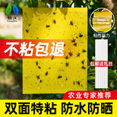 粘虫板大棚专用黄板蓝板双面小黑飞果蝇诱捕器家用果园诱虫板贴纸