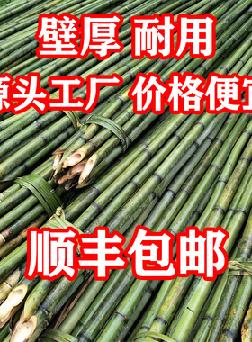 小竹竿菜园搭架细竹子豆角番茄黄瓜葡萄蔬菜爬藤架篱笆栅栏彩旗竿