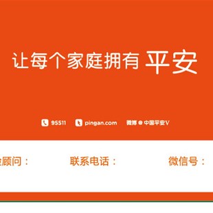 平安保单伴侣管家检视本家庭保B障年检手册整理卡体检表保险存折