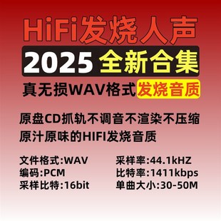 2025发烧人声合集无损音质HiFi音乐wav格式 高品质