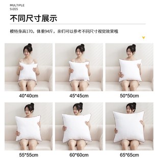 抱枕芯内胆内芯沙发靠垫芯腰靠枕芯45x45大号长方形不塌陷方枕芯