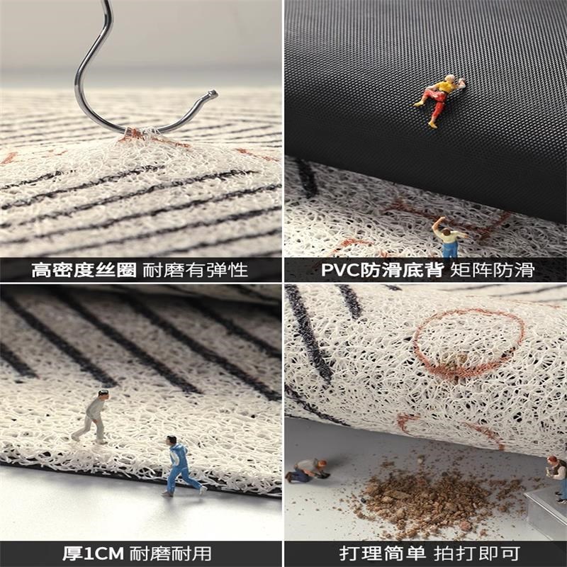 丝圈地垫入户门垫进门门外大门口耐脏脚可裁剪玄关地毯2025新款
