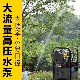 充电式浇菜水泵农用灌溉户外6分管大流量大功率12v水泵井水抽水机