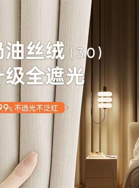奶油风窗帘卧室高级感雪尼尔轻奢现代简约客厅奶茶色遮光2.024新