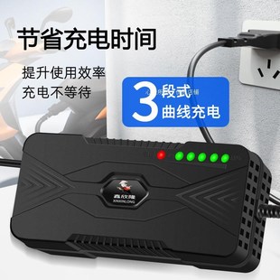 适用金迪鲁客欧皇新鸽丰收电动三轮车充电器48v12a6P0v20ah72v通