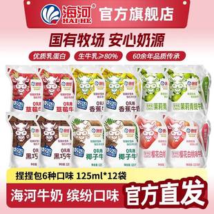 海河牛奶捏捏包0乳糖牛奶减糖25%六种口味营养早餐奶125ml×12袋