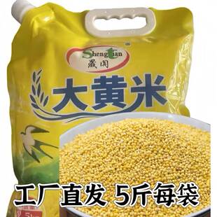 晟阗 2024新大黄米五斤颗粒饱满朝阳特产五谷杂粮饭黄米饭粗粮