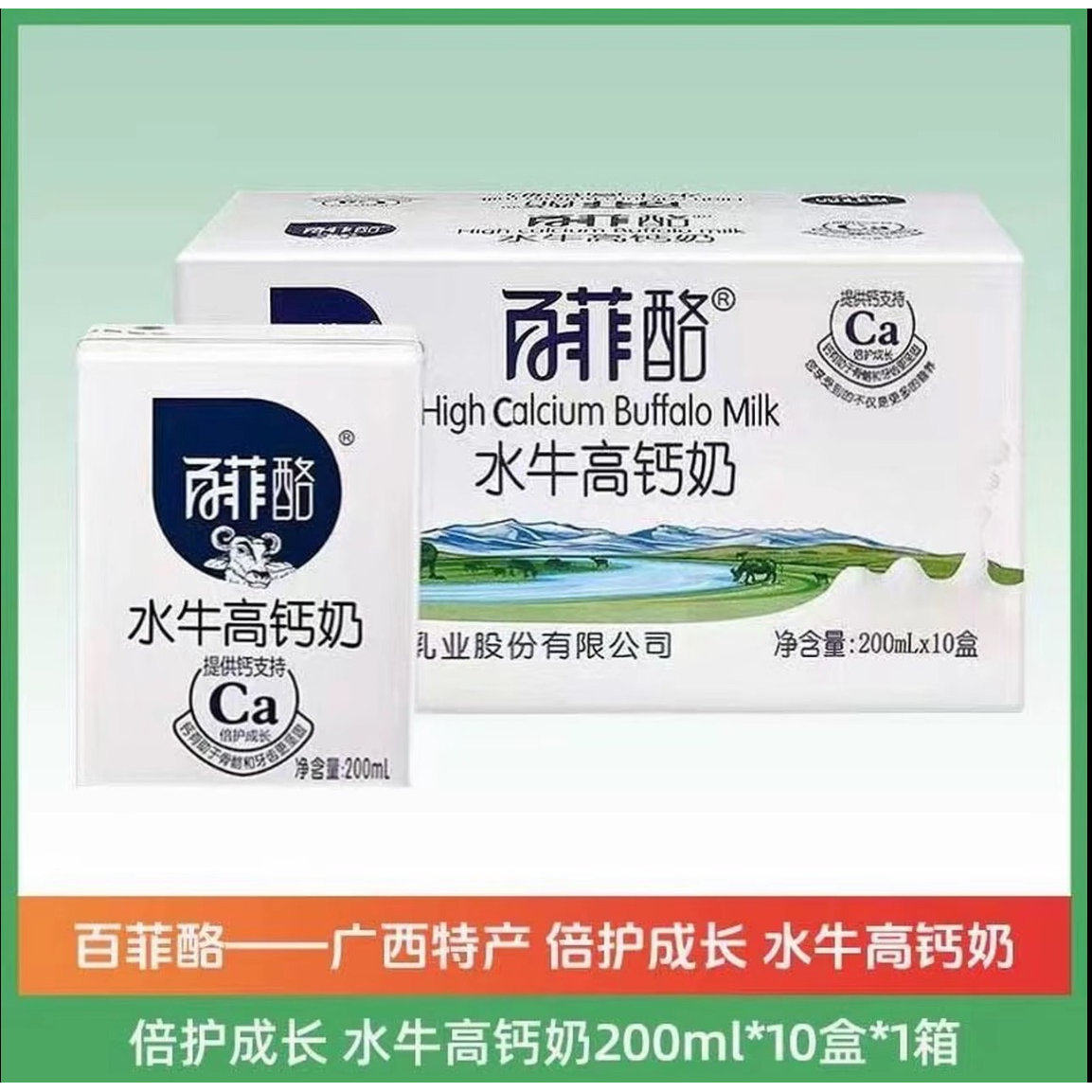 百菲酪水牛高钙奶百菲诺广西百洛菲水牛纯奶白非酪菲洛凯诺茜