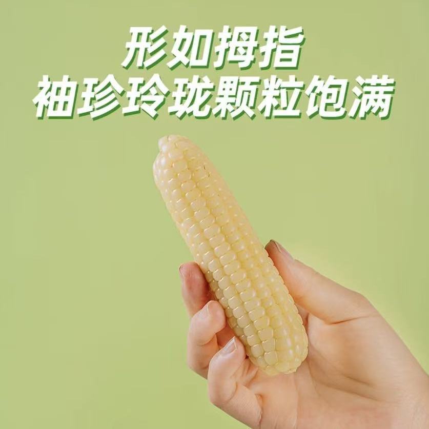 若莲善品小糯拇指玉米云南西双版纳宝宝即食迷你儿童玉米棒