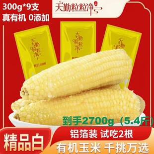 天勤粒粒净260g*9支精品白糯玉米【有机】新鲜软糯铝箔包装甜糯
