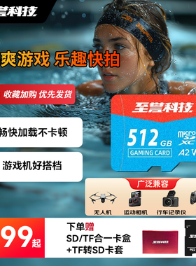 至誉科技Gaming系列micro sd相机无人机游戏Switch内存储高速tf卡