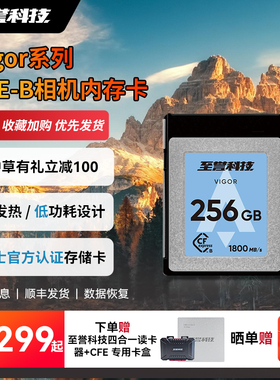 至誉科技Vigor系列CFexpress Type- 存储卡 低功耗低发热 Z8推荐