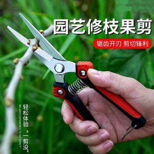 省力园林齿修枝剪果树蔬剪刀剪子果树剪锯不锈钢带园艺剪强力采果