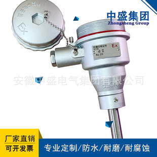 WZPK 248 1.5 200度 M20 中盛热电阻PT100