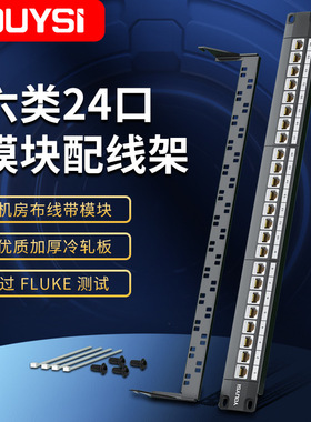 YOUYSI 1u六类24口网络配线架 千兆网络水平管理架 机架式管理器