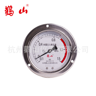 YN100BFZT 真空-0.1-0系列 全不锈钢304